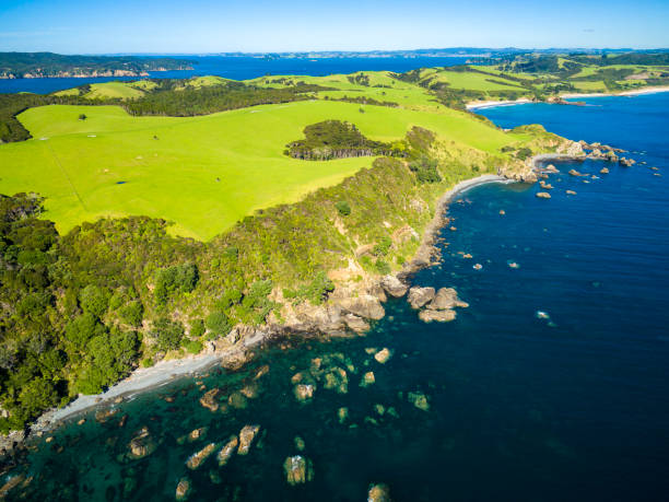 istock Tawharanui Regional Park 654867448