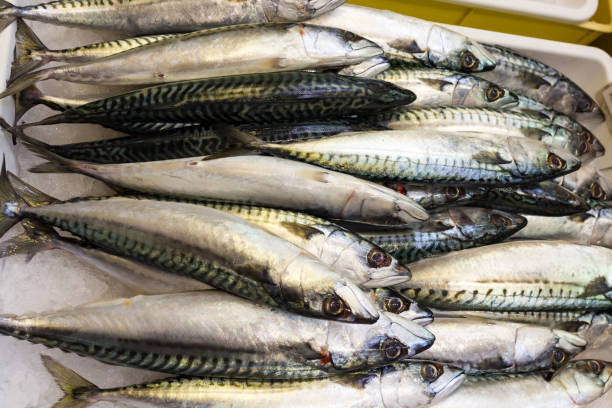 istock Sea fish on market stalls 654878232