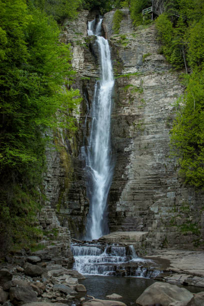 водопад в лесу - челеста стоковые фото �и изображения