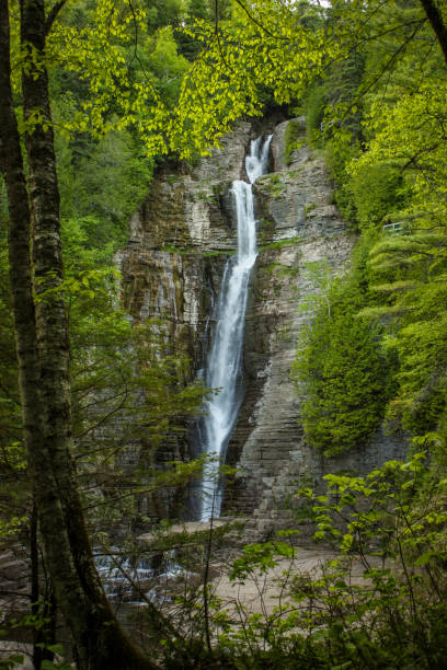 водопад в лесу - челеста стоковые фото и изображения