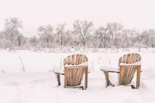 istock Winter snowy landscape in Montreal, Quebec (Botanical Garden) 654891552