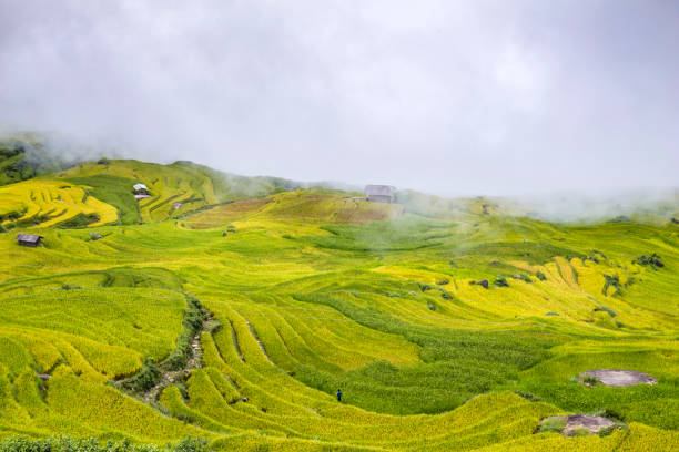 sapa cidade, perto de campos de arroz do vietnã em north - bac ha - fotografias e filmes do acervo