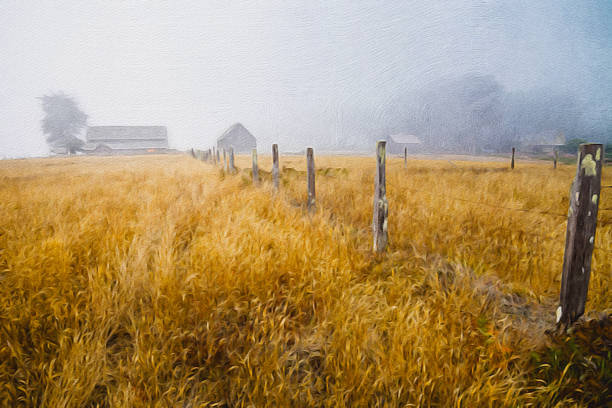 Old cattle ranch oil painting Abandoned old cattle ranch fence oil painting. cattle pen stock pictures, royalty-free photos & images