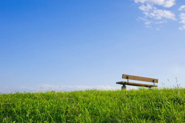 istock Bench on the hill Clear sky 654905386