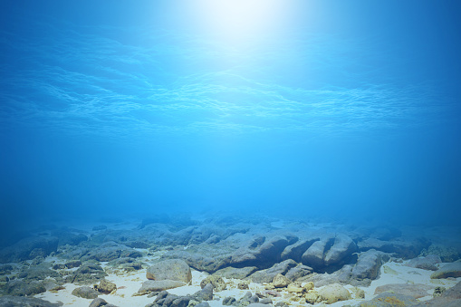Deep blue sea or ocean underwater background.