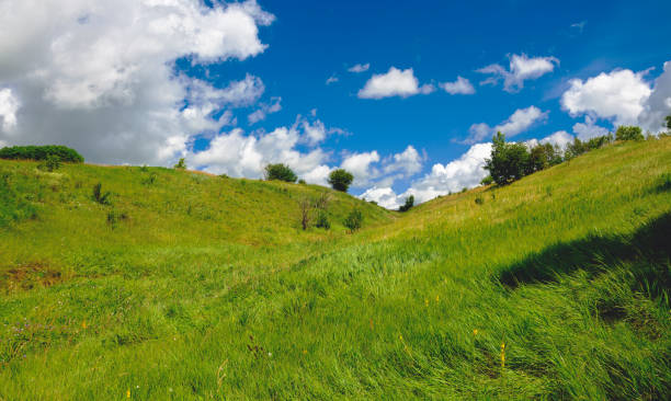 istock Blue sky over the green hills 654926056