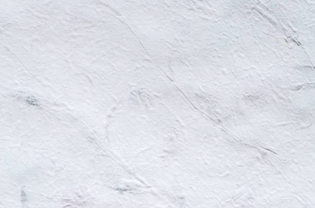 istock White mulberry paper with petal and leaf texture. 654928672