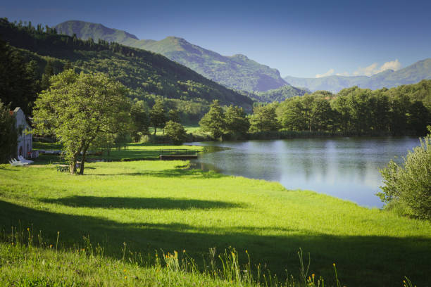 istock lake in mountain with green field and blue sky 654939632