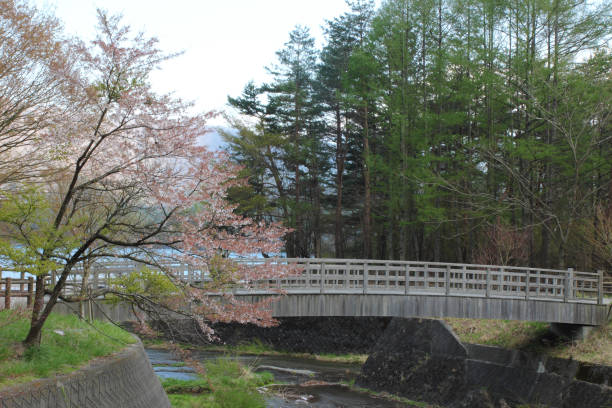 istock Mt.Fuji at Lake Kawaguchiko - Yamanash 654946726
