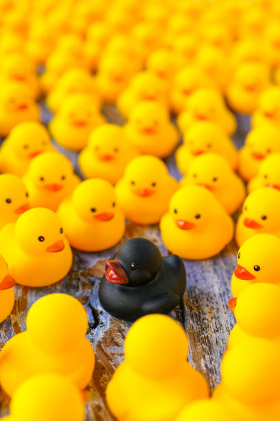 istock Large group of yellow rubber ducks gathering around one different black duck, on a blue coloured wooden background. 654949786