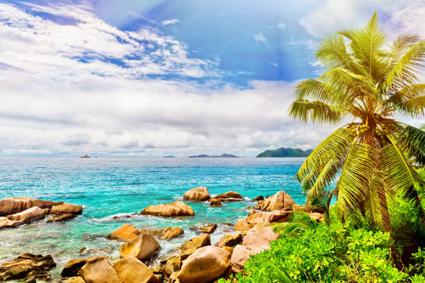 istock Tropical island. The Seychelles. 654957768