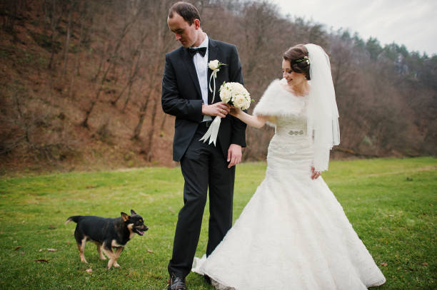 istock wedding couple at the autumn forest 654961028