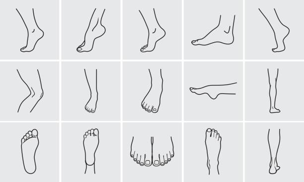 foot icons Human body parts. Foot care Icons Set. Vector illustrations line art pack of human feet in various gestures. barefoot stock illustrations
