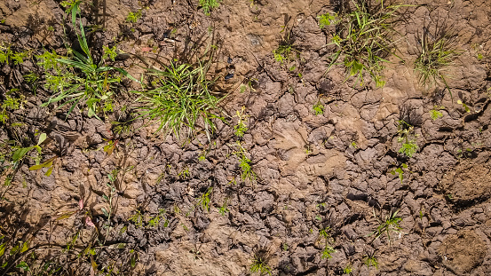 Texture of wet brown dirt mud.