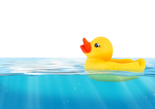 Rubber duck swimming in blue water
