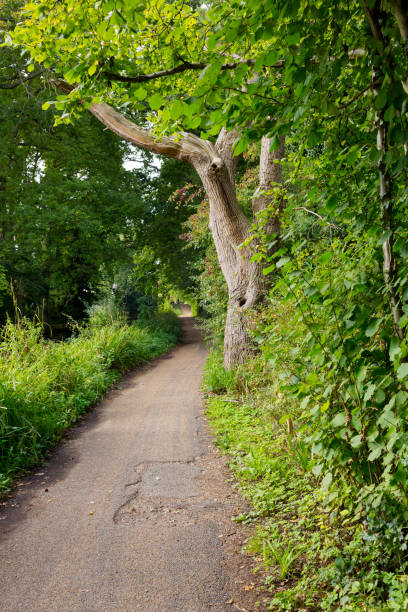 istock Hiking trail path at river in Basingstoke Channel, Woking, Surrey, England 654971536