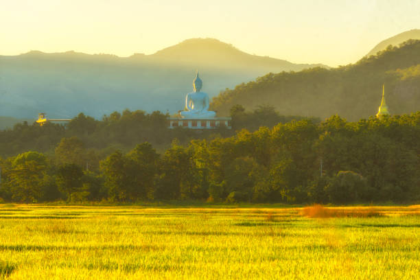 istock Wat Phra That Doi Lon of nature 654972708