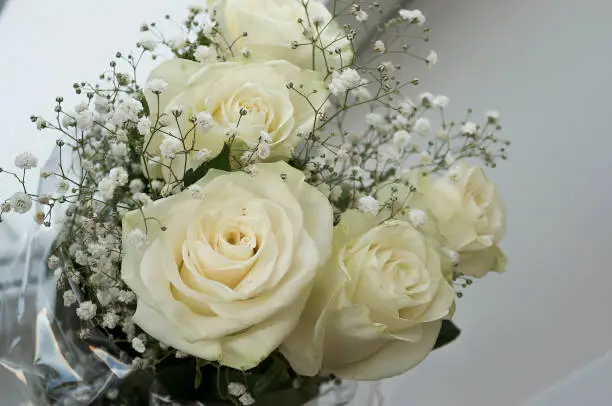 White tender roses in the bouquet