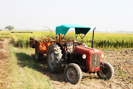 Loaded trolley of wooden with tractor outdoor in the field.