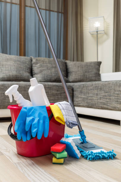 istock Cleaning service. Sponges, chemicals and mop. 654996186