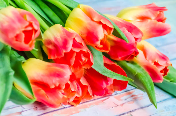 istock Still life with tulips on the wooden pattern 655004692