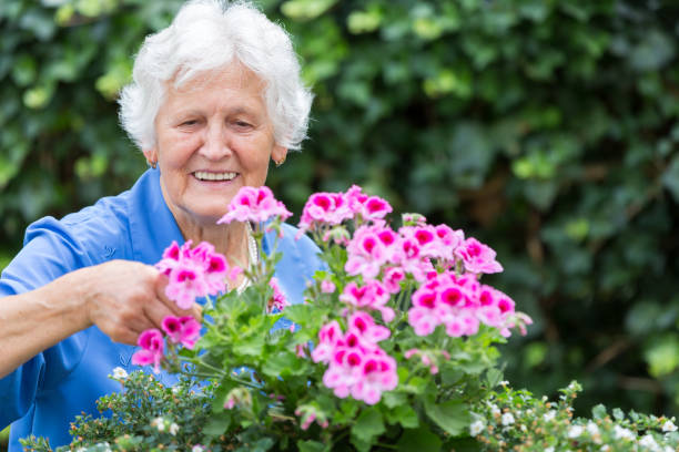 istock Senior woman with flowers 655014954