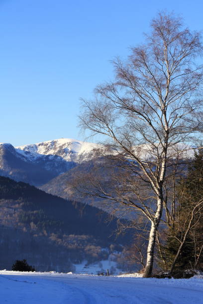 snowy mountains of vosges - frankenthal imagens e fotografias de stock