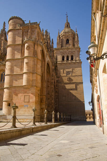istock Cathedral of Salamanca, Spain 655022168