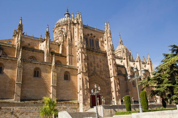istock Cathedral of Salamanca, Spain 655022202
