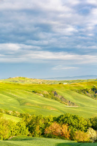 istock Rural landscape view with fields in a valley and trees 655022670