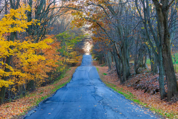 istock Country Road lined with colorful Fall trees in Wisconsin 655023796