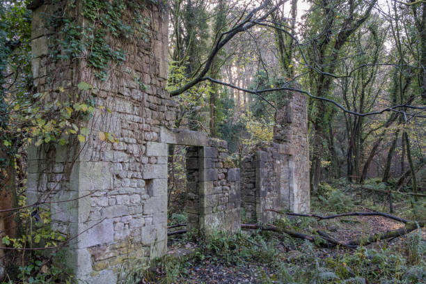 istock ruin in the woods 655023848