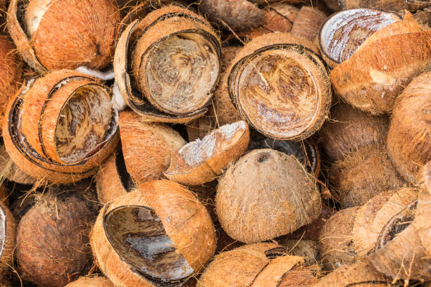 istock Pile of discarded coconut shells 655027832