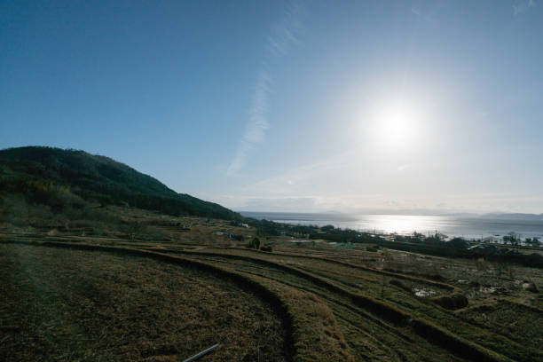 Biwa lakeside  rice field,shiga tourism of japan Biwa lakeside  rice field,shiga tourism of japan 遠足 stock pictures, royalty-free photos & images