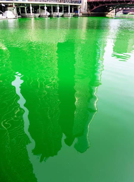 istock Green River, downtown Chicago,  St. Patricks Day Celebration 655044526