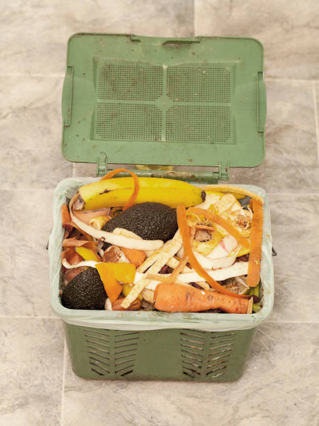 istock Recycling Bin with food waste 655044888