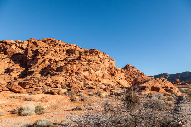 istock Valley of Fire Scenic Landscape 655053524