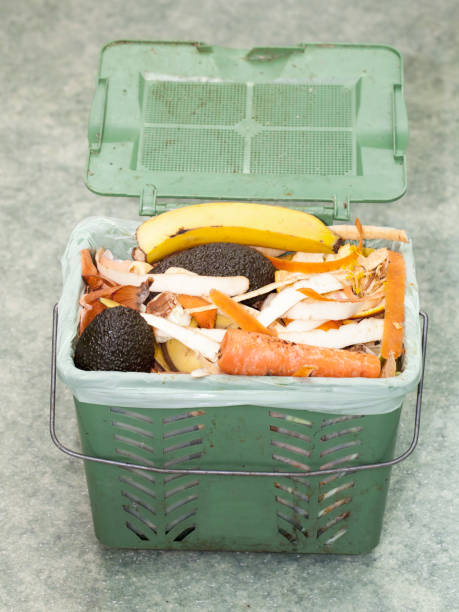 istock Recycling Bin with food waste 655069334