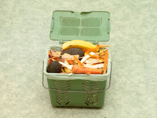 istock Recycling Bin with food waste 655072246
