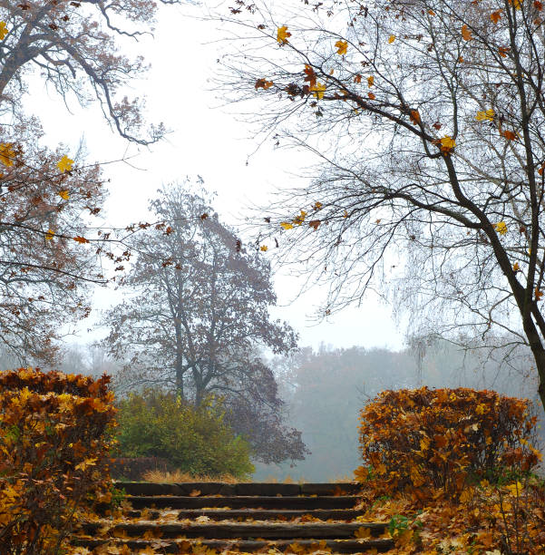 istock Autumn in park Aleksandriya 655072912