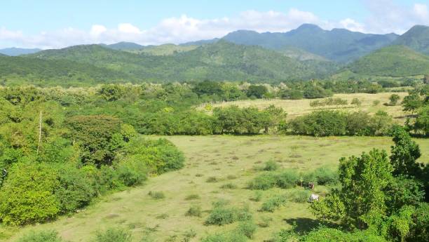 istock Flora and fauna in Cuba. 655078398