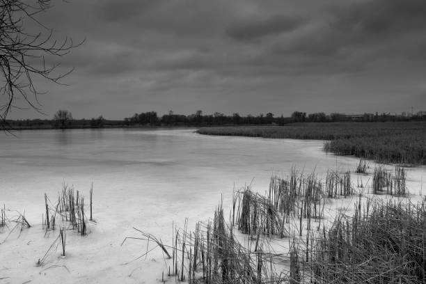 istock Winter lake in Bila Tserkva 655084164