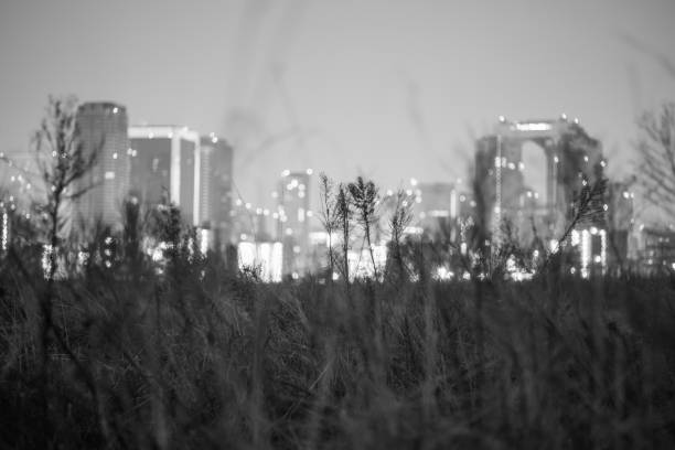 istock Osaka Umeda night scene building and nature,japan 655087740