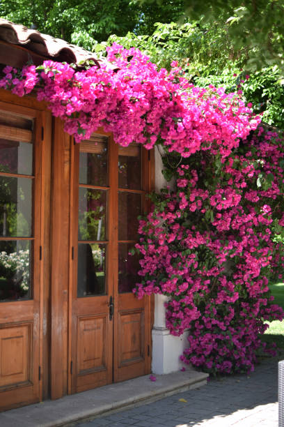 istock Wooden glass door. 655088180