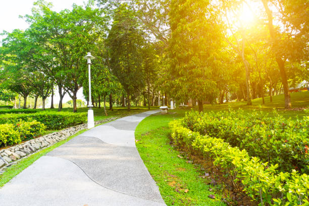 istock Beautiful morning light in public park 655088278