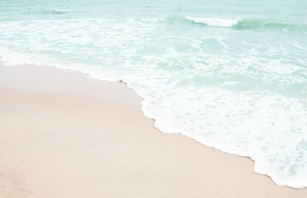 istock soft wave of the beach background 655088900