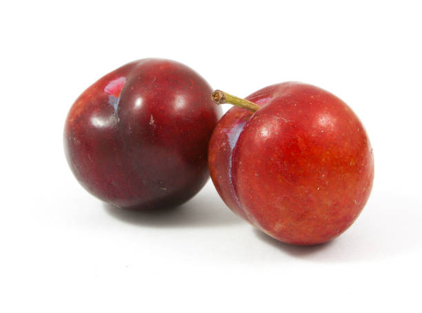 istock ripe purple cherry plums isolated on white 655091414