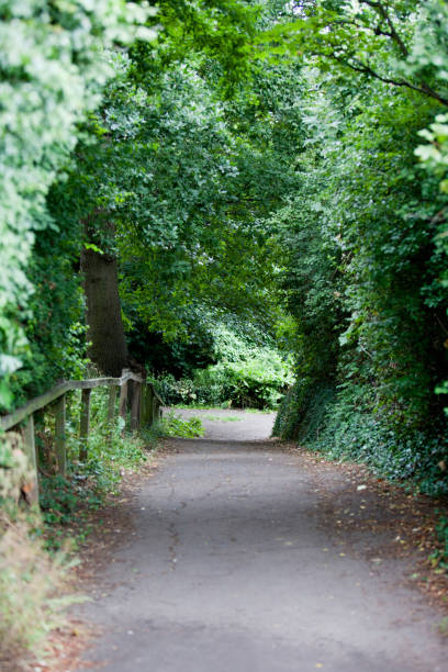 istock Country Lane in British Countryside 655094350