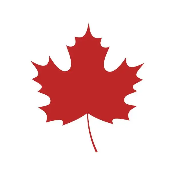 Vector illustration of Single red maple leaf icon