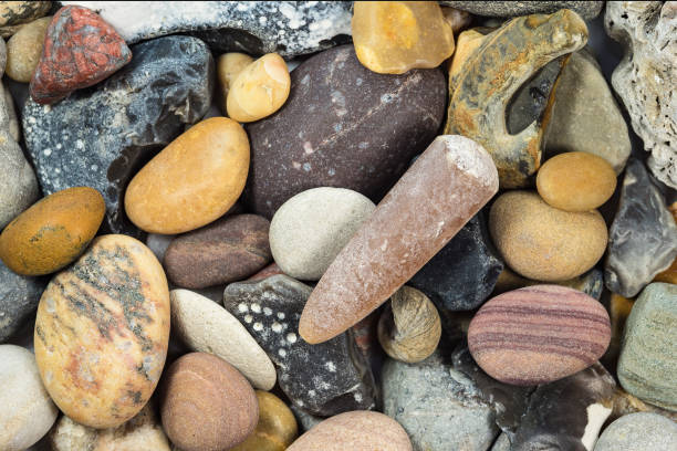Stones and thunderbolt found at the beach.